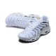 Nike Air Max Plus TN