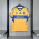Maillots des Tigres 25/26