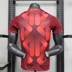 Maillots Allemagne Exterieur 25/26 Version du lecteur