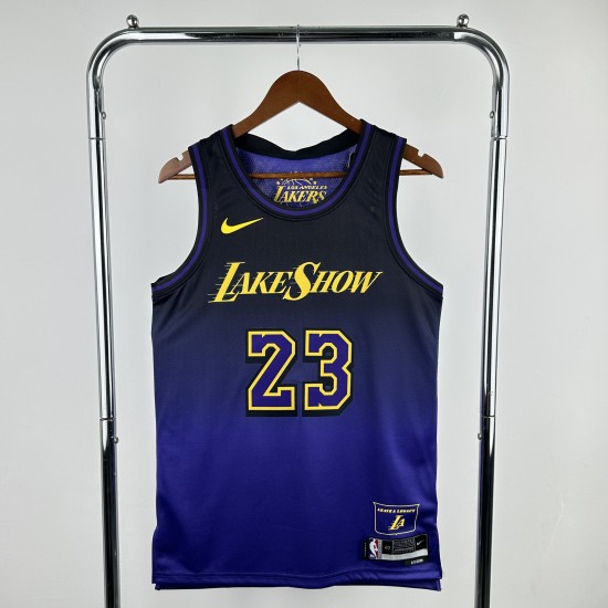 James #23 Los Angeles Lakers