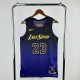 James #23 Los Angeles Lakers