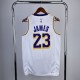 James #23 Los Angeles Lakers