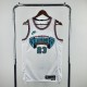 Memphis Grizzlies ROSE 23