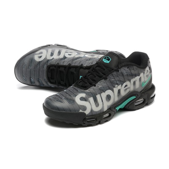 Nike Air Max Plus TN