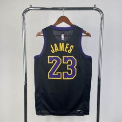James #23 Los Angeles Lakers