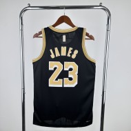 James #23 Los Angeles Lakers
