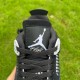 Air Jordan 4 OREO PANDA