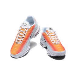 Nike Air Max Plus TN