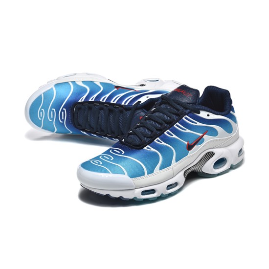 Nike Air Max Plus