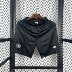 125e ​​anniversaire de l'Allemagne en 2025