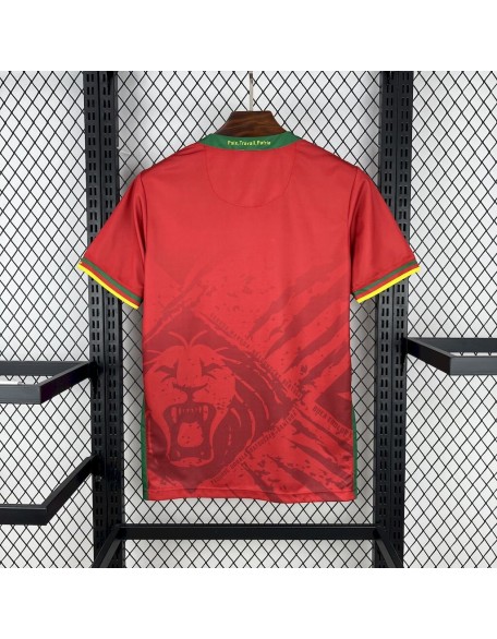 Maillots du Cameroun 2025 Maillots du Cameroun 2025