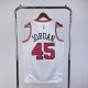 Chicago Bulls Jordan 45