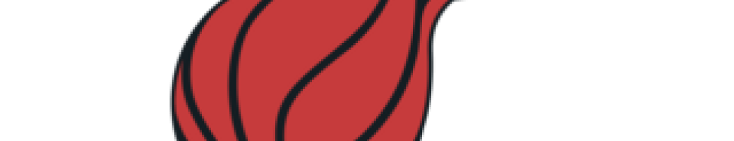 Miami Heat