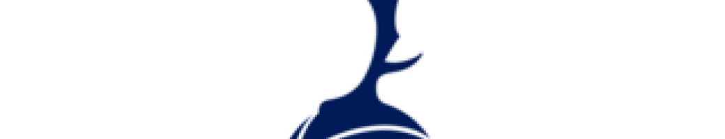 Tottenham Hotspur